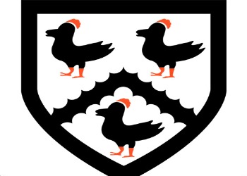 The Scholars Programme