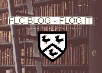Flog IT - Issue 3